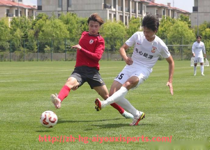 爱游戏体育官网-法甲比赛阶段分析:不同赛段球队状态与策略调整全景解析