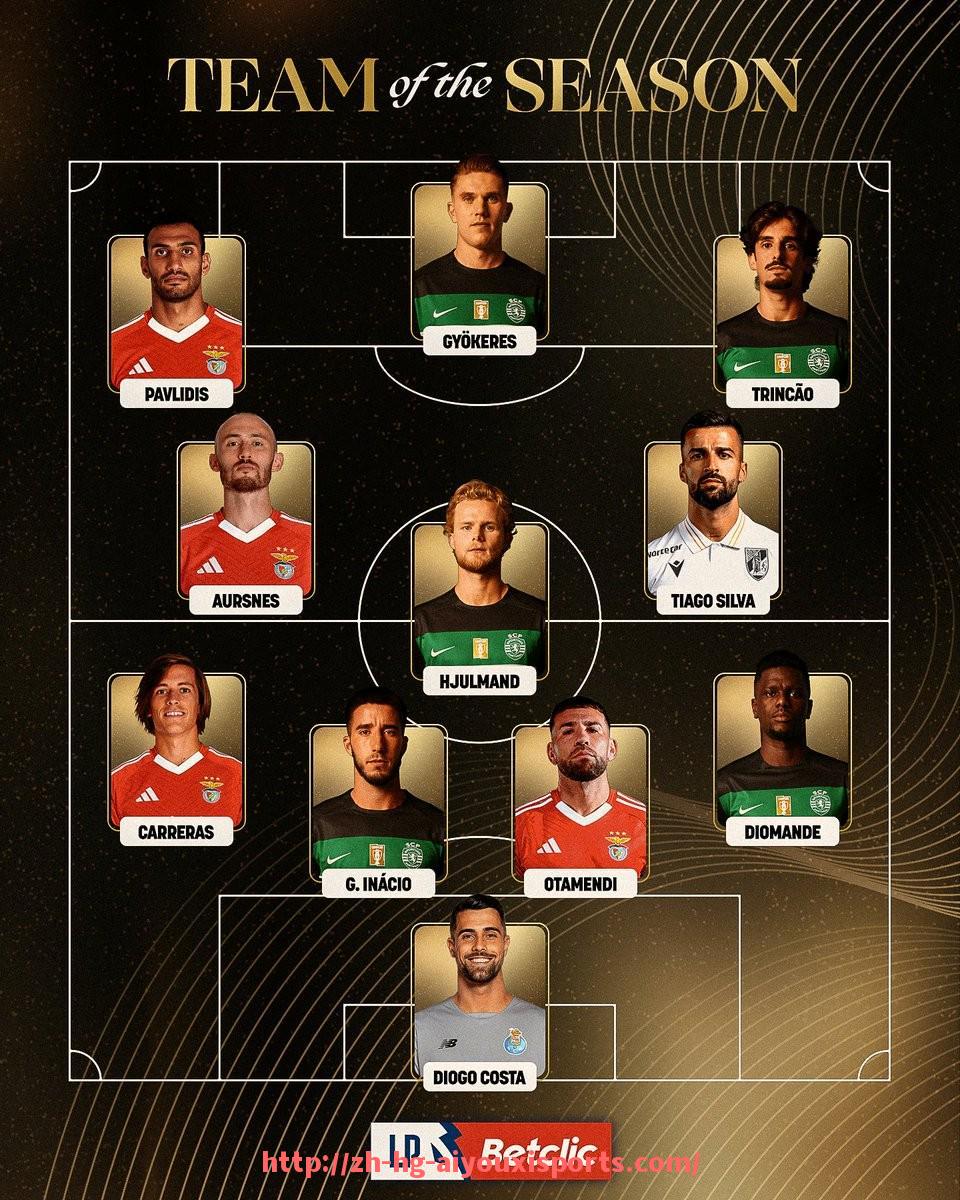 爱游戏体育官网-法甲球队2024年财政状况评估及资金运作报告