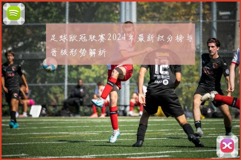 足球欧冠联赛2024年最新积分榜与晋级形势解析