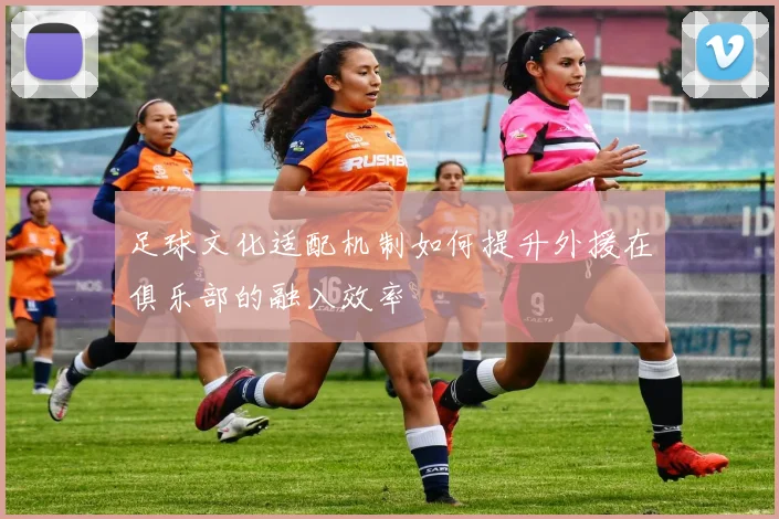 足球文化适配机制如何提升外援在俱乐部的融入效率