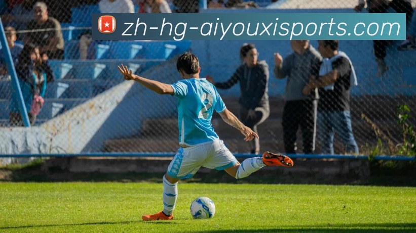 爱游戏体育品牌故事