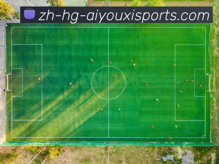 爱游戏体育服务体系